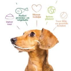 4x Yarrah Bio Hondenvoer Multipack Paté Graanvrij Kip - Kalkoen -Lief Beest Verkoopwinkel 1003007 4