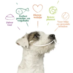 4x Yarrah Bio Hondenvoer Multipack Paté Graanvrij Rund - Kip -Lief Beest Verkoopwinkel 1003009 4