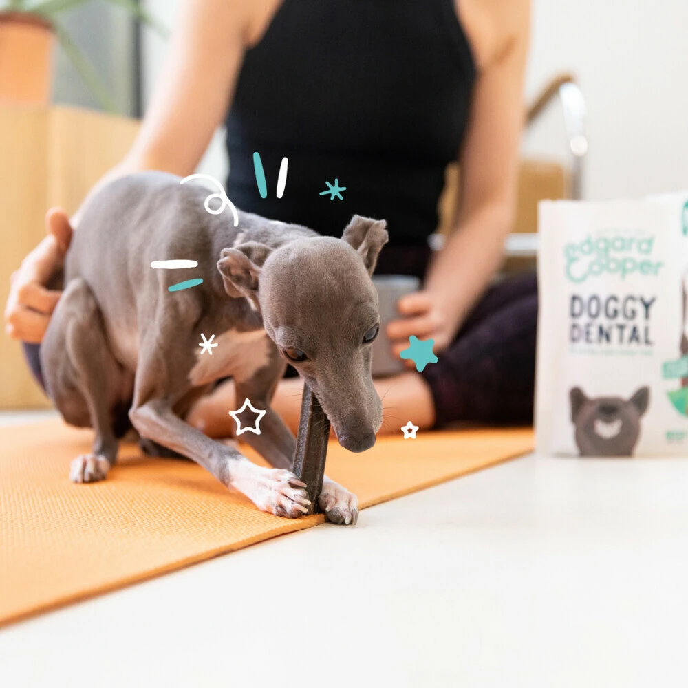 4x Edgard & Cooper Doggy Dental Sticks Aardbei - Frisse Muntolie 6 4x Edgard & Cooper Doggy Dental Sticks Aardbei - Frisse Muntolie - Afbeelding 4