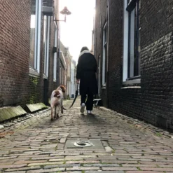 Trailstone Leash Dispenser 9 Trailstone Leash Dispenser -Lief Beest Verkoopwinkel 1005530 4