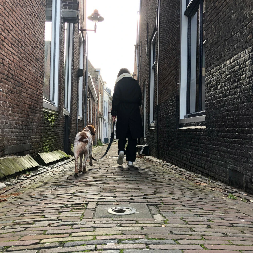 Trailstone Leash Dispenser 6 Trailstone Leash Dispenser - Afbeelding 4