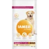 Iams Dog Senior Large Kip -Lief Beest Verkoopwinkel 1006490