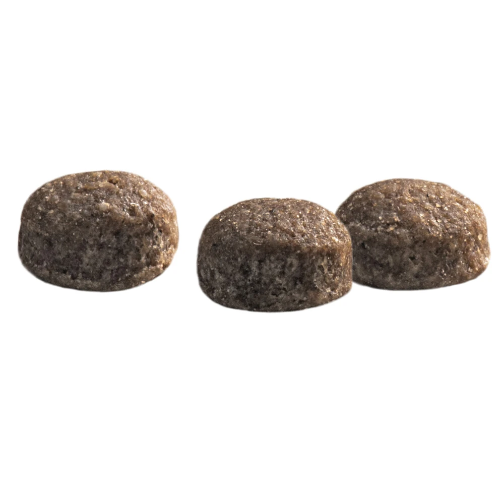 Prins Protection Croque Mini Senior Fit Hondenvoer 5 Prins Protection Croque Mini Senior Fit Hondenvoer - Afbeelding 3