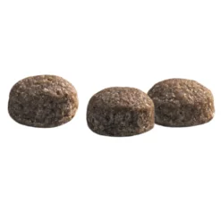 Prins Protection Croque Mini Senior Fit Hondenvoer -Lief Beest Verkoopwinkel 1016884 3