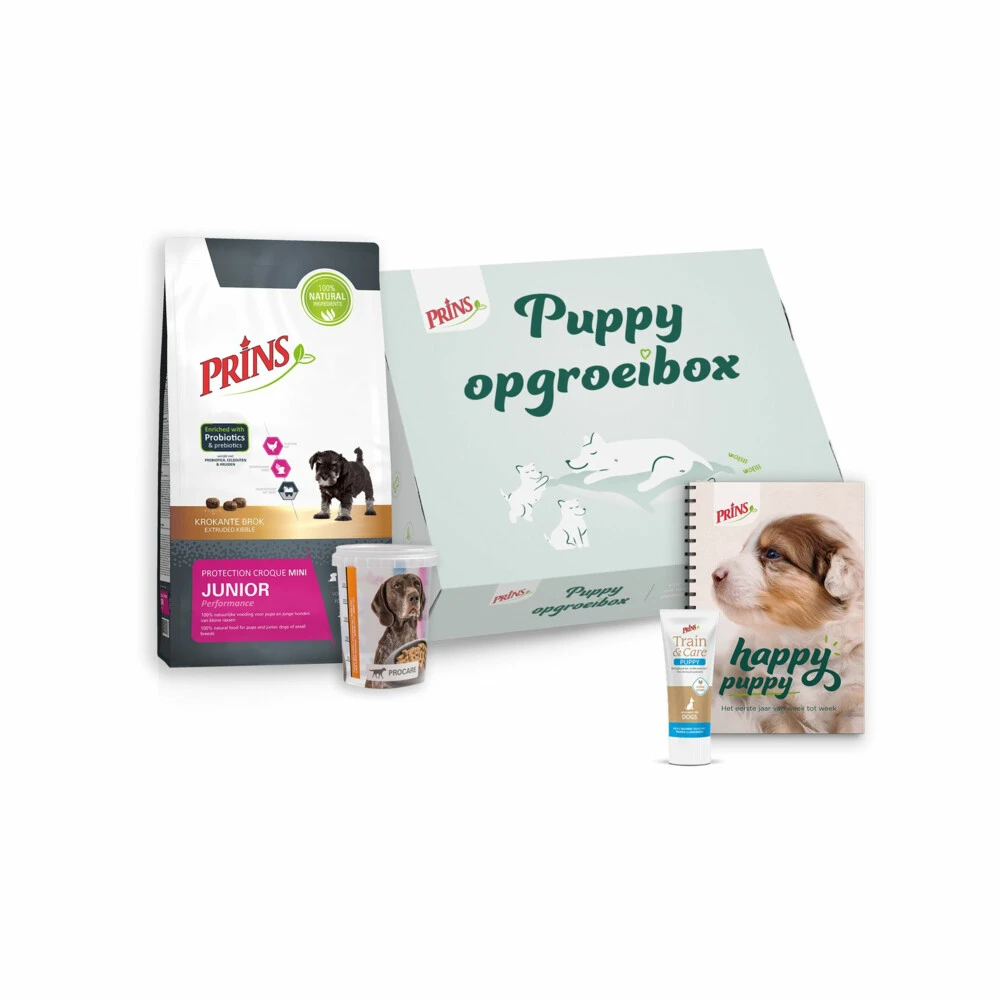Prins Opgroeibox Protection Croque Mini Junior 3 Prins Opgroeibox Protection Croque Mini Junior