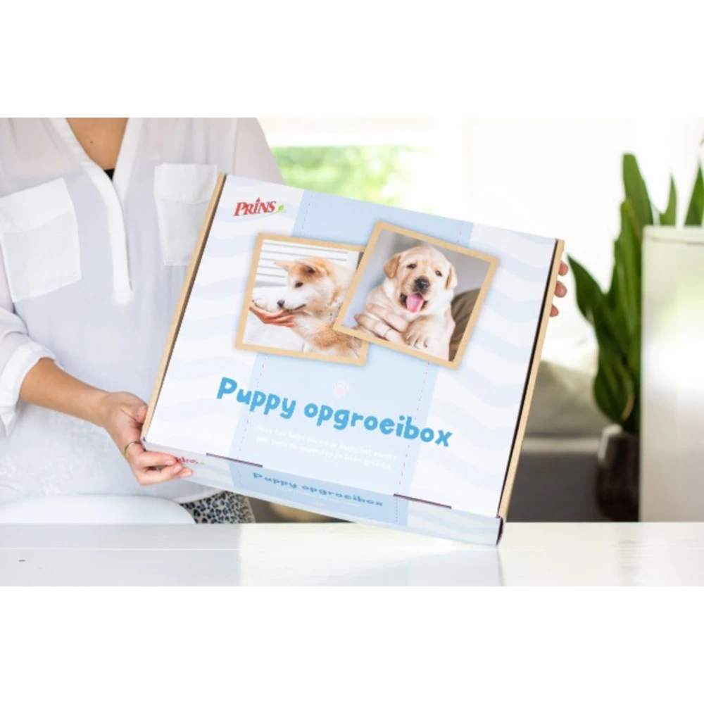 Prins Opgroeibox Protection Croque Mini Junior 5 Prins Opgroeibox Protection Croque Mini Junior - Afbeelding 3