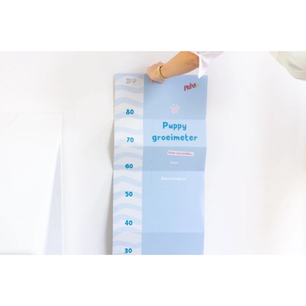 Prins Opgroeibox Protection Croque Mini Junior 6 Prins Opgroeibox Protection Croque Mini Junior - Afbeelding 4