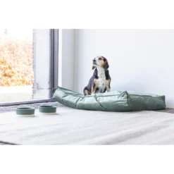 Designed By Lotte Ligkussen Fluweel Nalino Groen -Lief Beest Verkoopwinkel 1017101 4