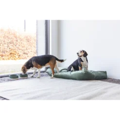 Designed By Lotte Ligkussen Fluweel Nalino Groen -Lief Beest Verkoopwinkel 1017101 5