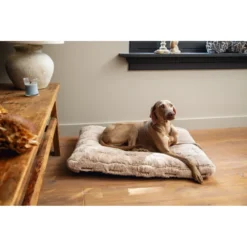 Designed By Lotte Hondenkussen Pluche Xanti Beige 6 Designed By Lotte Hondenkussen Pluche Xanti Beige -Lief Beest Verkoopwinkel 1017104 2