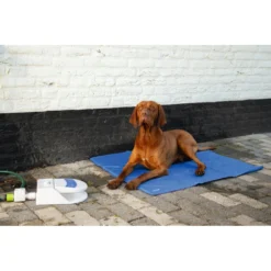 Beeztees Waterfontein Splashy 9 Beeztees Waterfontein Splashy -Lief Beest Verkoopwinkel 1017124 4