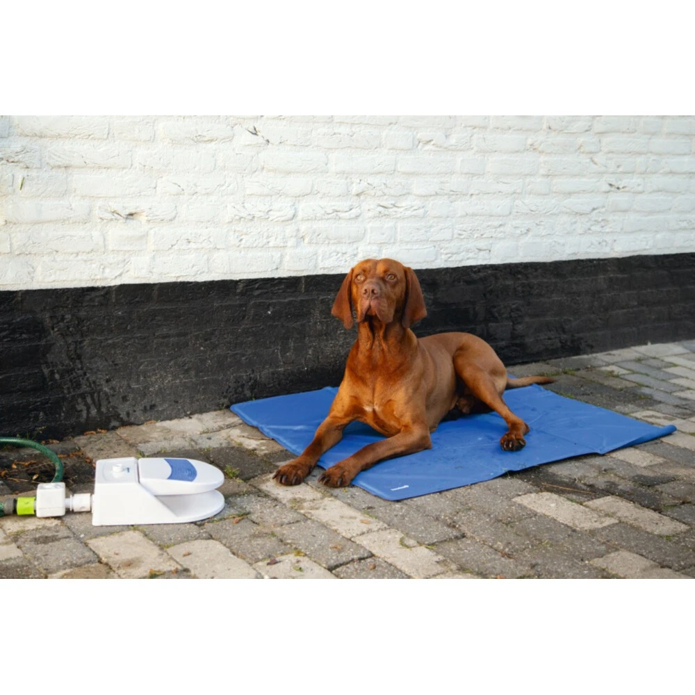 Beeztees Waterfontein Splashy 6 Beeztees Waterfontein Splashy - Afbeelding 4