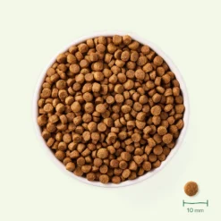 Yarrah Bio Hondenvoer Adult Small Breed Kip -Lief Beest Verkoopwinkel 1020195 3