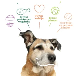 Yarrah Bio Hondenvoer Senior Kip -Lief Beest Verkoopwinkel 1020224 4