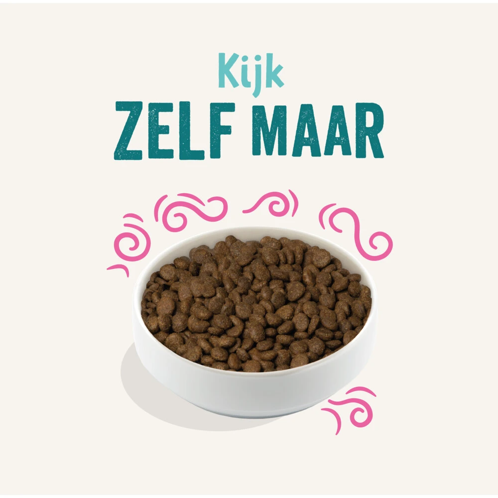 Edgard & Cooper Plantaardig Hondenvoer Rode Biet - Pompoen 4 Edgard & Cooper Plantaardig Hondenvoer Rode Biet - Pompoen - Afbeelding 2