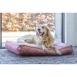 Designed By Lotte Ligkussen Nalino Hond Roze -Lief Beest Verkoopwinkel 1031628 2