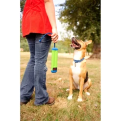 Chuckit! Chuckit Amphibious Bumper Medium -Lief Beest Verkoopwinkel 1033076 4