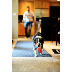 Chuckit! Chuckit Indoor Roller -Lief Beest Verkoopwinkel 1033094 3