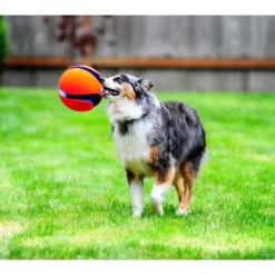 Chuckit! Chuckit Kick Fetch Small -Lief Beest Verkoopwinkel 1033097 4