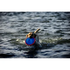 Chuckit! Chuckit Paraflight Large -Lief Beest Verkoopwinkel 1033098 4