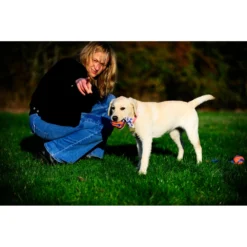 Chuckit! Chuckit Ultra Toss Medium -Lief Beest Verkoopwinkel 1033117 4