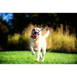 Chuckit! Chuckit Ultra Tug Large -Lief Beest Verkoopwinkel 1033119 3