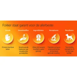 3x Fokker Dog Special-Fit 4 -Lief Beest Verkoopwinkel 1034675 4