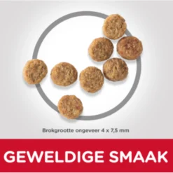 Hill's Hillu0027s Science Plan Adult Light Small - Mini Kip 6 Hill's Hillu0027s Science Plan Adult Light Small - Mini Kip -Lief Beest Verkoopwinkel 1035916 2