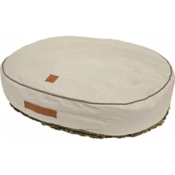 Lief Beest Verkoopwinkel 17 Boony Dreamer Grizzly Bruin