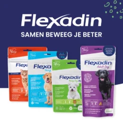 Flexadin Adult Dog Kauwbrokjes -Lief Beest Verkoopwinkel 1054025 3