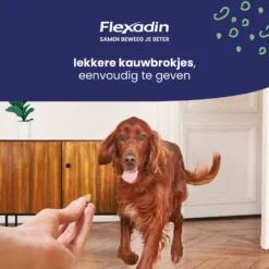 Flexadin Adult Dog Kauwbrokjes -Lief Beest Verkoopwinkel 1054025 4