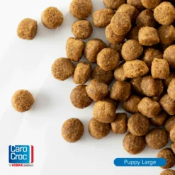 CaroCroc Puppyvoer Large -Lief Beest Verkoopwinkel 1067471 3