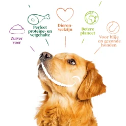12x Yarrah Bio Hondenvoer Paté Kip -Lief Beest Verkoopwinkel 700931 4