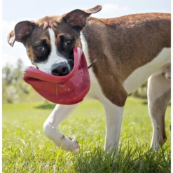 Kong Flyer Frisbee Rood -Lief Beest Verkoopwinkel 703705 3