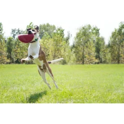 Kong Flyer Frisbee Rood -Lief Beest Verkoopwinkel 703705 4