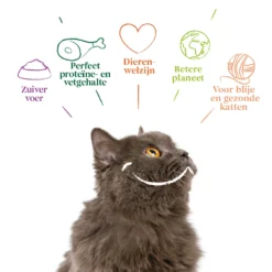 16x Yarrah Bio Kattenvoer Chunks Kip - Rund -Lief Beest Verkoopwinkel 704651 4