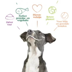 12x Yarrah Bio Hondenvoer Chunks Rund - Kip -Lief Beest Verkoopwinkel 704653 4