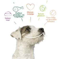 12x Yarrah Bio Hondenvoer Paté Rund - Kip -Lief Beest Verkoopwinkel 704655 4