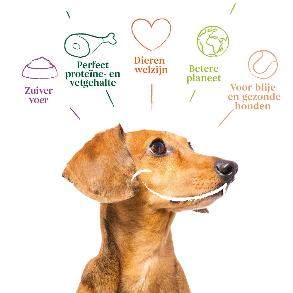 12x Yarrah Bio Hondenvoer Paté Kip - Kalkoen 6 12x Yarrah Bio Hondenvoer Paté Kip - Kalkoen - Afbeelding 4