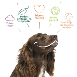 12x Yarrah Bio Chunks Vegetarisch -Lief Beest Verkoopwinkel 704657 4