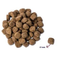 Renske Mighty Omega Plus Hondenvoer Kip 5 Renske Mighty Omega Plus Hondenvoer Kip -Lief Beest Verkoopwinkel 931789 2