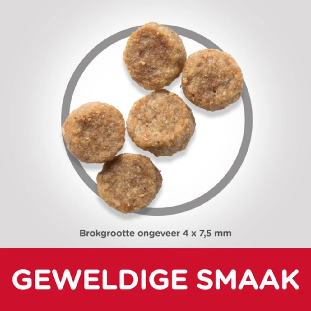 Hill's 6x Hillu0027s Science Plan Hondenvoer Mature Adult Small & Mini Kip 4 Hill's 6x Hillu0027s Science Plan Hondenvoer Mature Adult Small & Mini Kip - Afbeelding 2