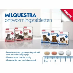 Beaphar Milquestra Ontworming Tabletten Hond 5-50kg -Lief Beest Verkoopwinkel 975809 3