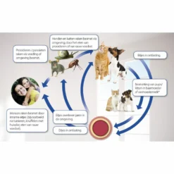 Beaphar Milquestra Ontworming Tabletten Hond 5-50kg -Lief Beest Verkoopwinkel 975809 4