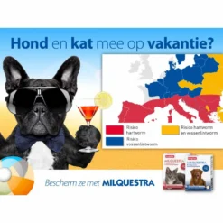 Beaphar Milquestra Ontworming Tabletten Hond 5 - 75kg -Lief Beest Verkoopwinkel 975810 2