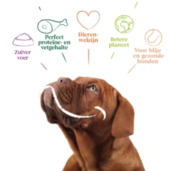 12x Yarrah Bio Hondenvoer Chunks Kip -Lief Beest Verkoopwinkel 979324 4