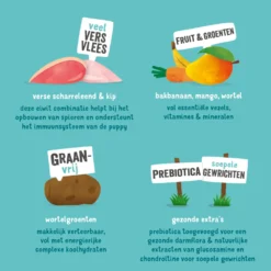 Edgard & Cooper Hondenvoer Puppy Scharrelkip - Scharreleend 9 Edgard & Cooper Hondenvoer Puppy Scharrelkip - Scharreleend -Lief Beest Verkoopwinkel 993013 4