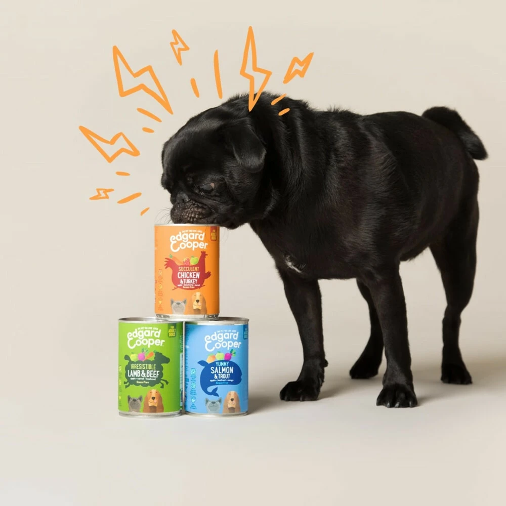 6x Edgard & Cooper Blik Vers Vlees Senior Hondenvoer Kip - Zalm 4 6x Edgard & Cooper Blik Vers Vlees Senior Hondenvoer Kip - Zalm - Afbeelding 3