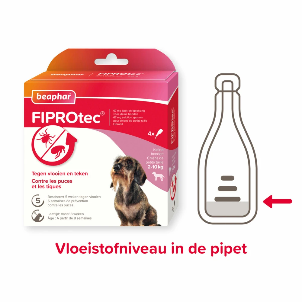Beaphar Fiprotec Anti Vlooien En Teken Druppels 2 - 10 Kg 4 Beaphar Fiprotec Anti Vlooien En Teken Druppels 2 - 10 Kg - Afbeelding 2