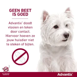 Advantix Spot On 600 Anti Vlooien En Teken Druppels 40 - 60 Kg -Lief Beest Verkoopwinkel 993418 4